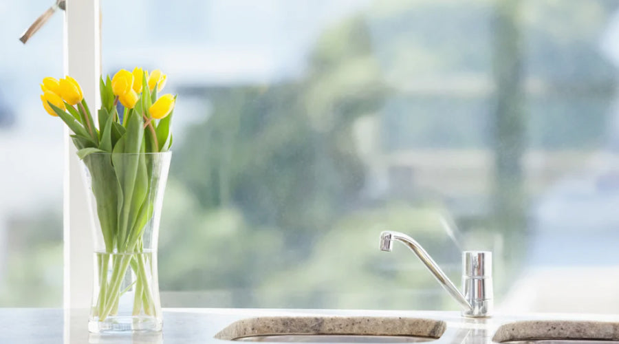 Keeping the Kitchen Sink Fresh, Fragrant and Fantastic