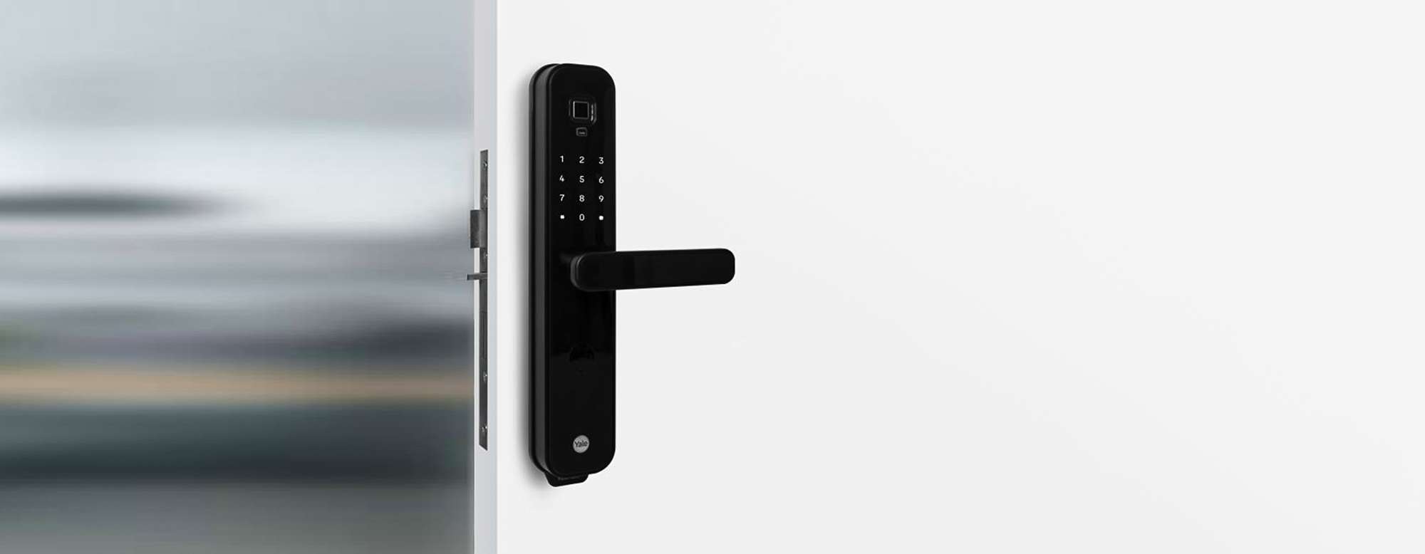 Smart Door Locks