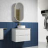 Aulic Neva 750mm Wall Hung Vanity