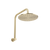 Alma Mira Brushed Brass Gold High Rise Upswept Shower Arm and Head