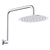 Fienza Kaya Gooseneck Shower Arm Set Chrome