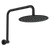 Fienza Kaya Gooseneck Shower Arm Set Matte Black