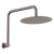 Fienza Kaya Gooseneck Shower Arm Set Gunmetal