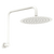 Fienza Kaya Gooseneck Shower Arm Set Matte White