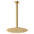 Fienza Kaya Ceiling Shower 250mm Head 350mm Drop Urban Brass