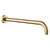 Fienza Kaya Shower Arm Urban Brass