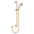 Fienza Lillian Rail Shower Urban Brass