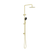 Nero Round Project Twin Shower 4 Star Rating Brushed Gold