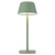 Telbix Briana Rechargeable Table Lamp Green