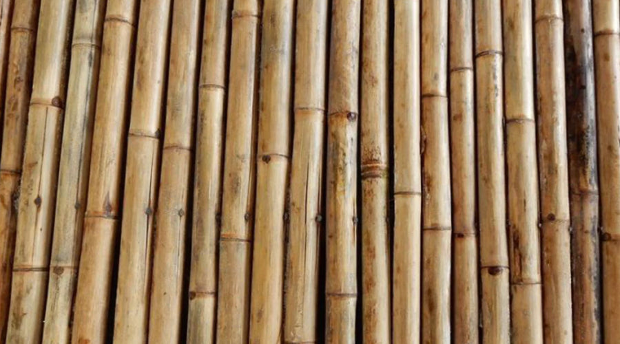 Is Bamboo Flooring Sustainable? 6 Things to Know about Bamboo Floors