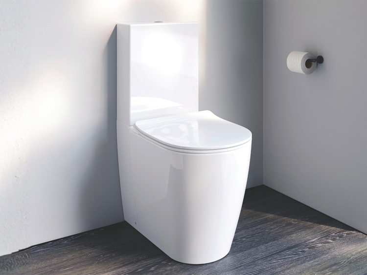 Arcisan Synergii Toilet