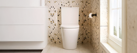 Back to Wall Toilets