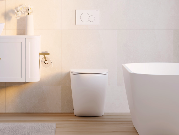Fienza Toilet