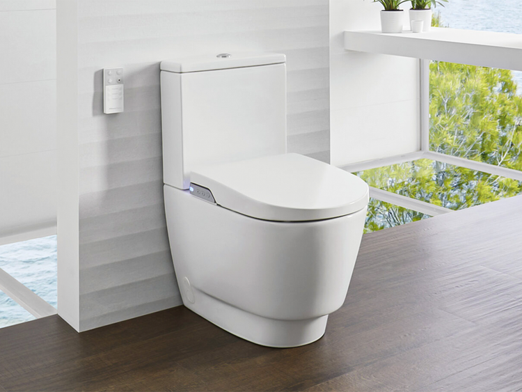 Johnson Suisse Toilets