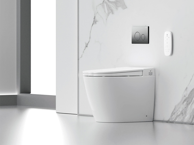 Lafeme Toilet And Flush Plate Set