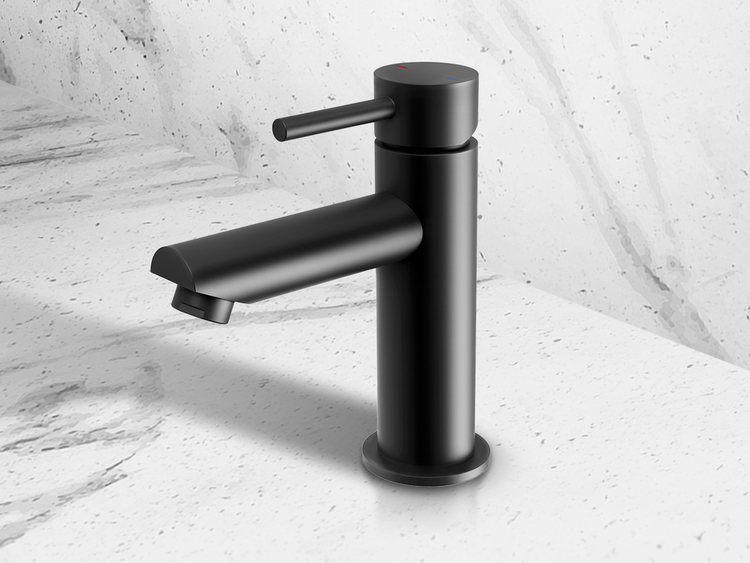 Phoenix Pina in Matte Black