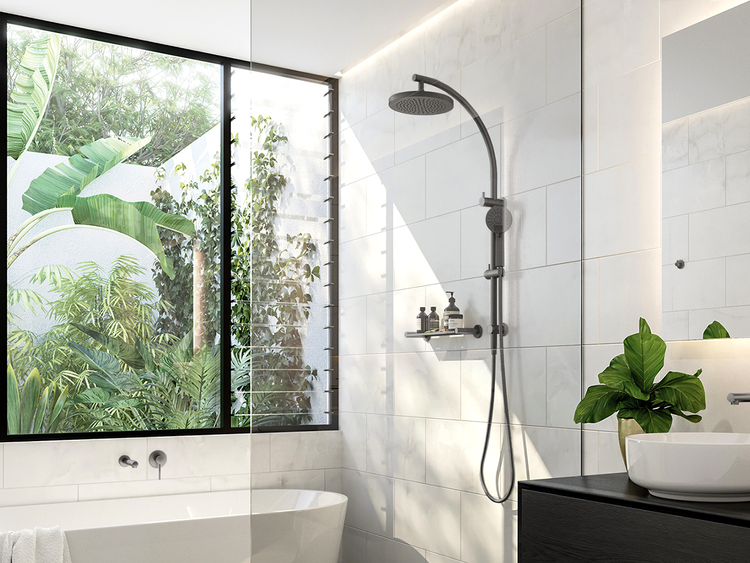 Phoenix Vivid in Brushed Carbon