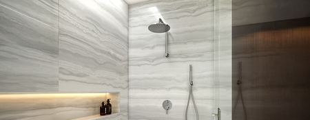 Shower Heads & Shower Arms