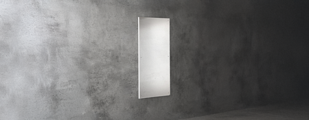 Stainless Steel Mirrors