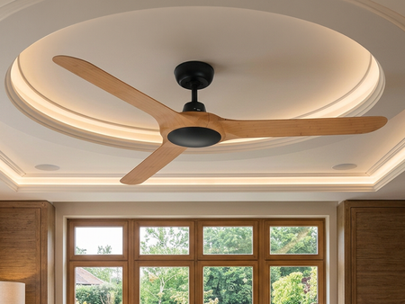 Ceiling Fans