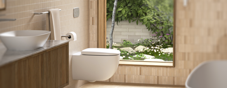 Wall Hung Floating Toilets