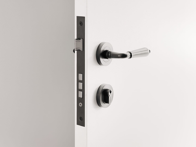 Zanda Entrance Door Handles