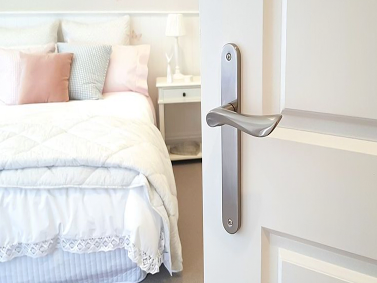 Zanda Hardware Long Plate Door Handles