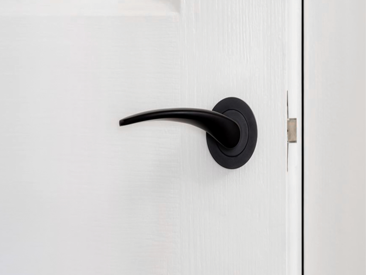 Zanda Lever Handles in Matte Black
