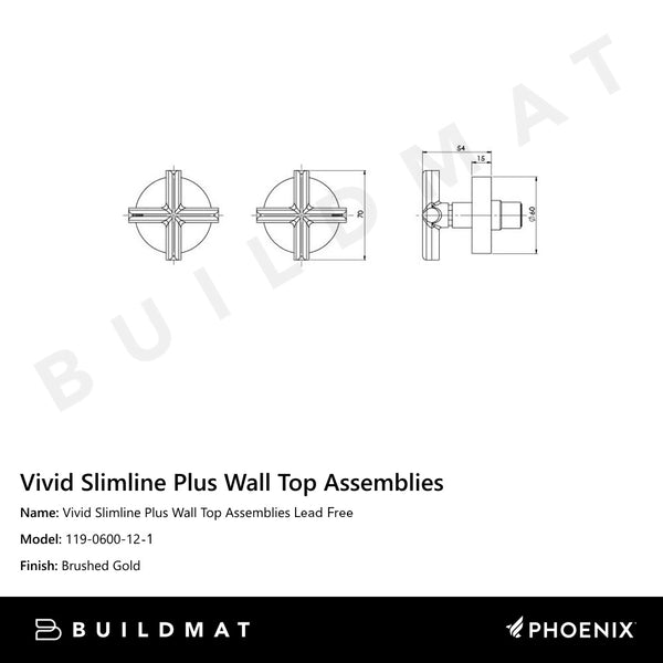 Phoenix Vivid Slimline Plus Wall Top Assemblies Brushed Gold Lead Free