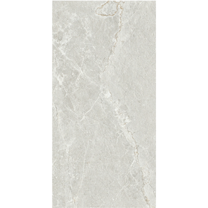 Tiles Lithos Silver Honed 300 x 600mm