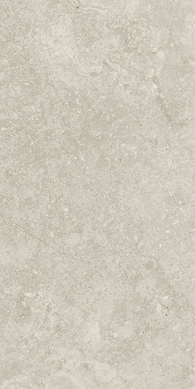 Tiles Flint Greige Desert Sand Matt P4 300 x 600mm