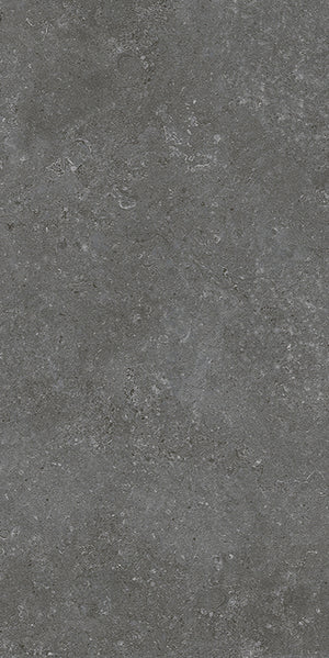 Tiles Dune Charcoal Matt P3 300 x 600mm