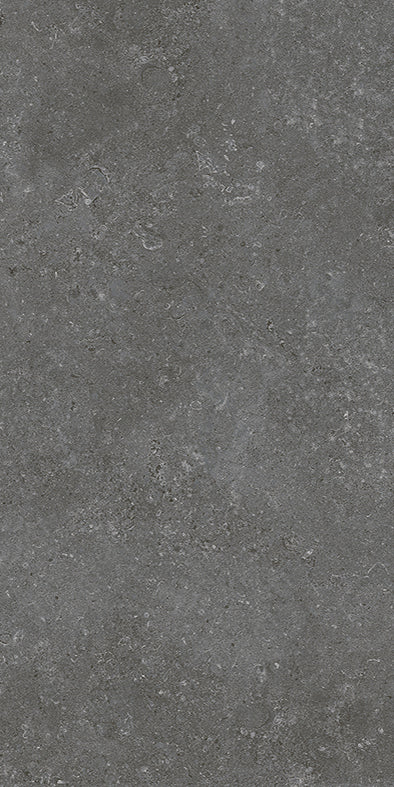 Tiles Dune Charcoal Matt P3 300 x 600mm