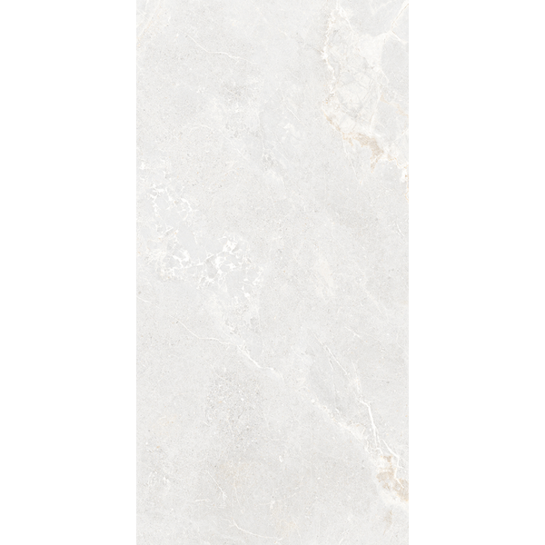 Tiles Lithos Silver Honed 600 x 1200mm