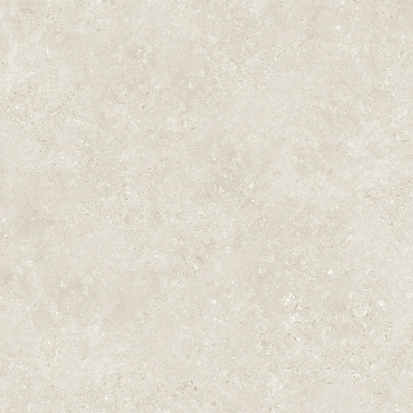 Tiles Dune Bone Matt P3 600 x 600mm