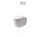Wall Hung Toilets