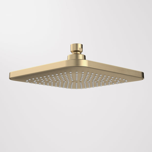 Caroma Luna Overhead Shower Head Brushed Brass