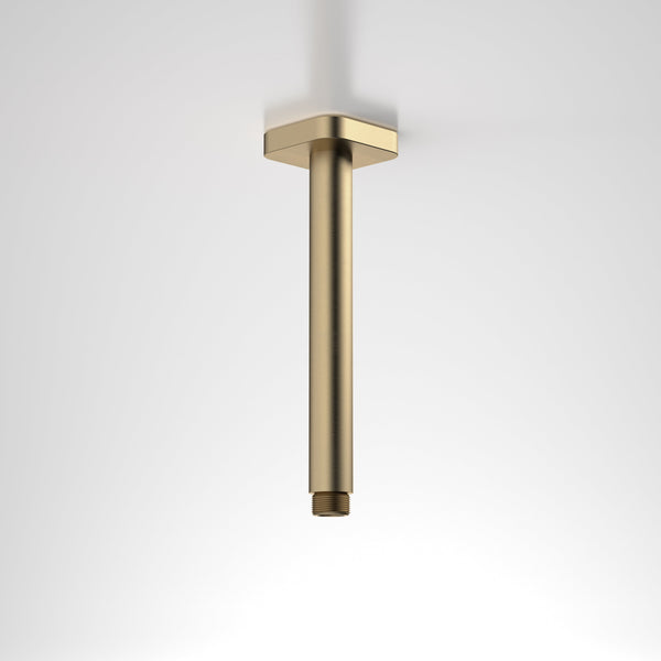 Caroma Luna Straight Arm Square Flange 210mm Brushed Brass
