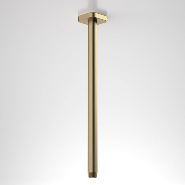 Caroma Luna Straight Arm Square Flange 410mm Brushed Brass