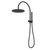 Caroma Liano II Compact Twin Shower with Overhead Matte Black