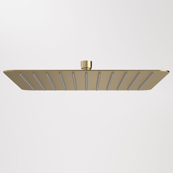 Caroma Urbane II 300mm Square Rain Shower Brushed Brass