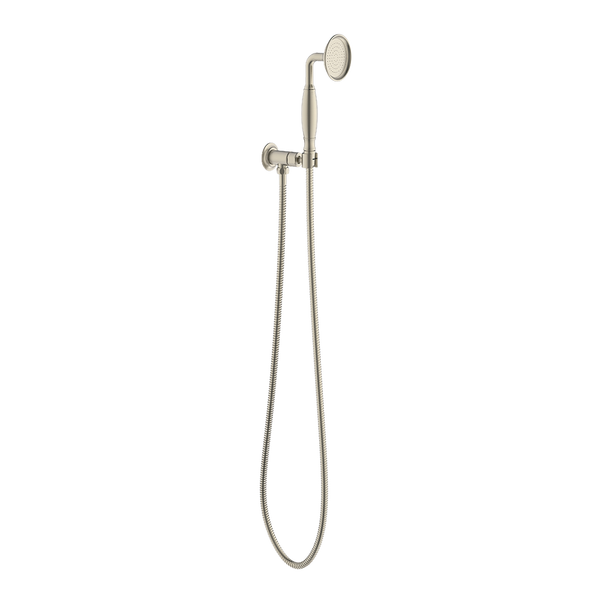 ADP Eternal Hand Shower On Hook Brushed Nickel