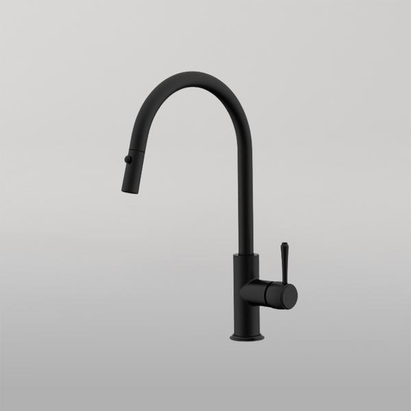 ADP Eternal Pull Out Kitchen Mixer Matte Black