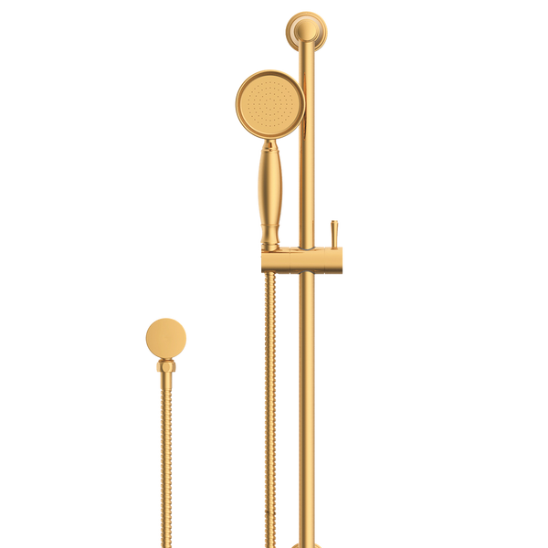 ADP Eternal Hand Shower On Rail Brushed Brass