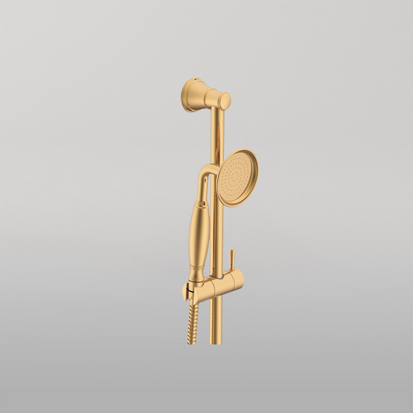 ADP Eternal Hand Shower On Rail Brushed Brass
