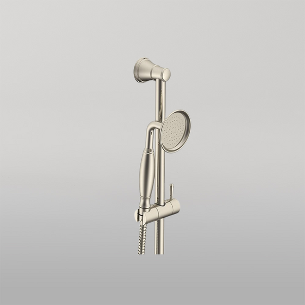 ADP Eternal Hand Shower On Rail Brushed Nickel