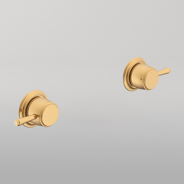 ADP Eternal Wall Top Assembly (pr) Brushed Brass