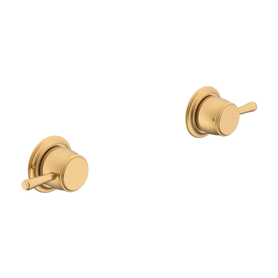 ADP Eternal Wall Top Assembly (pr) Brushed Brass