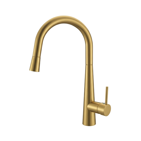 Arcisan Axus Pin Arch Spout Pull Down Conical Nozzle Sink Mixer Brushed Brass