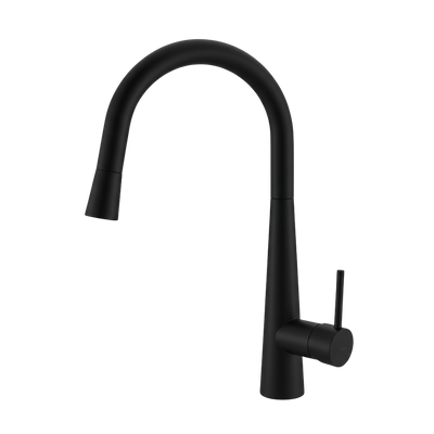 Arcisan Axus Pin Arch Spout Pull Down Conical Nozzle Sink Mixer Matte Black